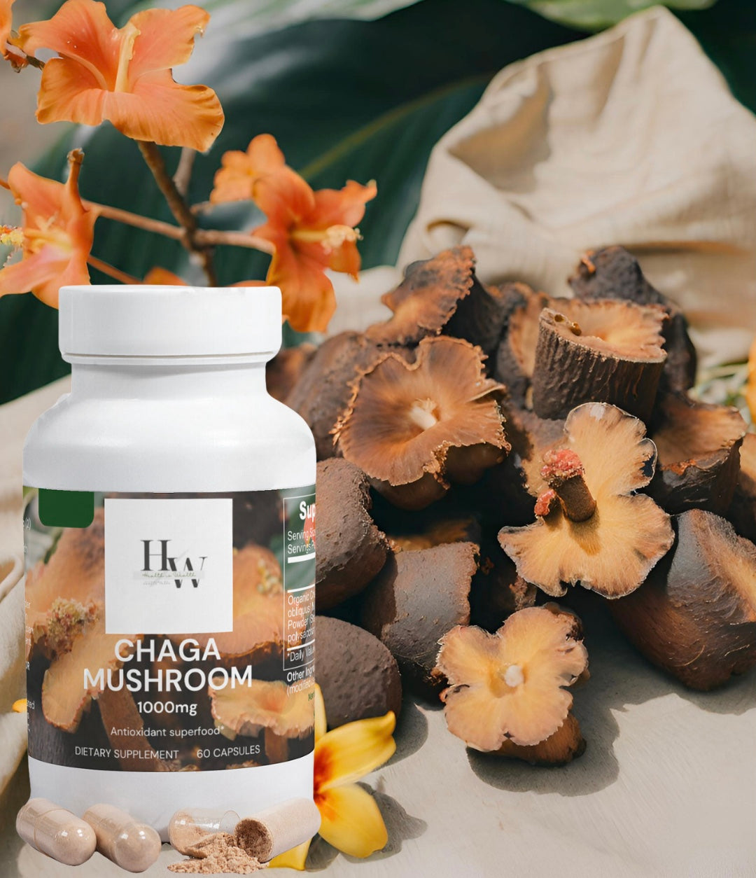 Chaga Mushroom